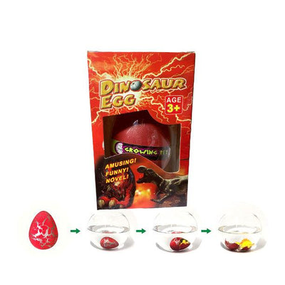 Oeuf de dinosaure qui grossit dans l'eau - Rouge