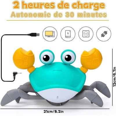 Crabe musicale qui marche - QiChen